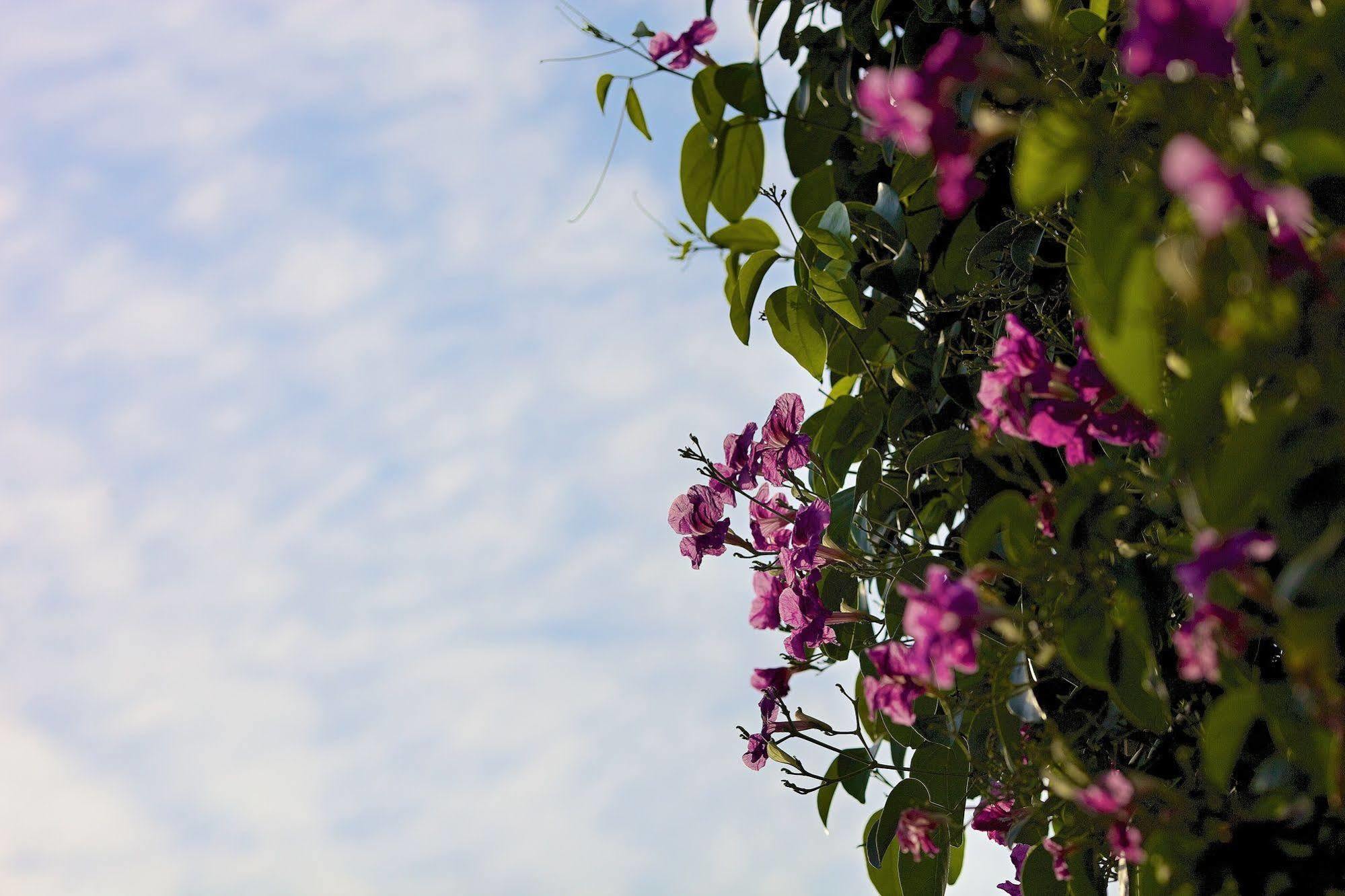 Casa Belle Boutique Hotel Cartagena ภายนอก รูปภาพ
